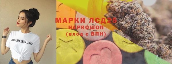 PSILOCYBIN Осташков