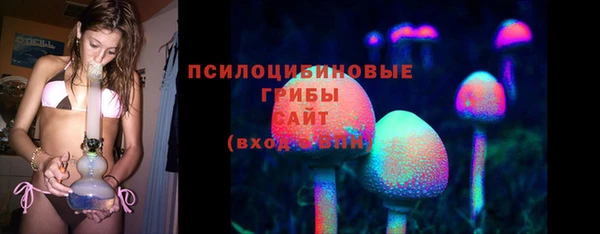 МДПВ Остров