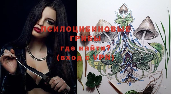 МДПВ Остров