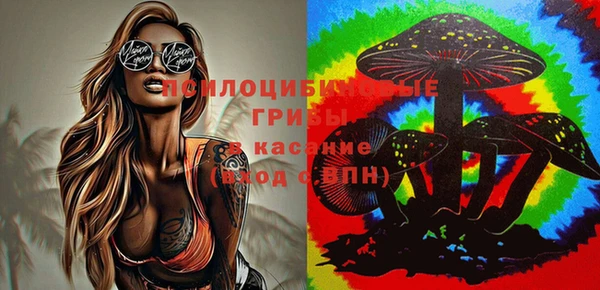 МДПВ Остров