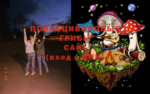 МДПВ Остров