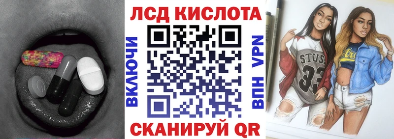 ЛСД экстази ecstasy  закладка  Новоржев 