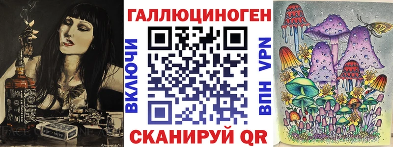 дарнет шоп Новоржев Галлюциногенные грибы мицелий